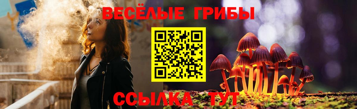 Галлюциногенные грибы Psilocybe  Галлюциногенные грибы мицелий  Казань  Вход с VPN 